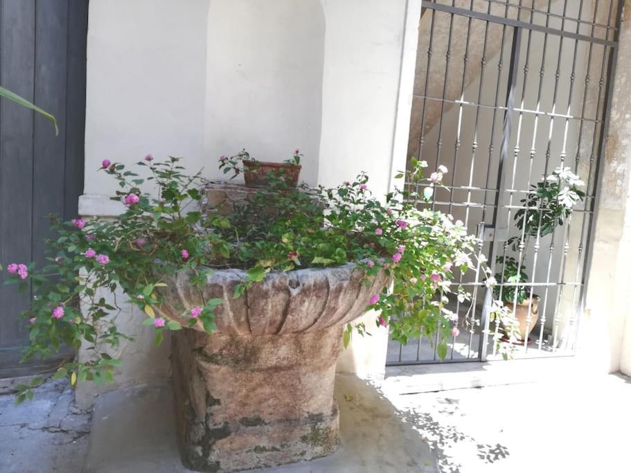Residenza Lincoln Apartment Палермо Екстериор снимка